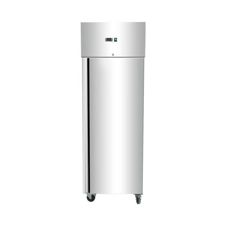 Commercial Single Door Stainless Steel Upright Fridge 650L GN 2/1 (13A)
